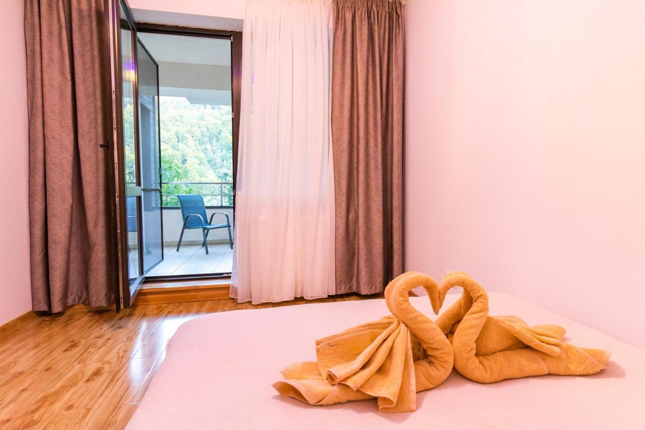 Apartament Rodia *